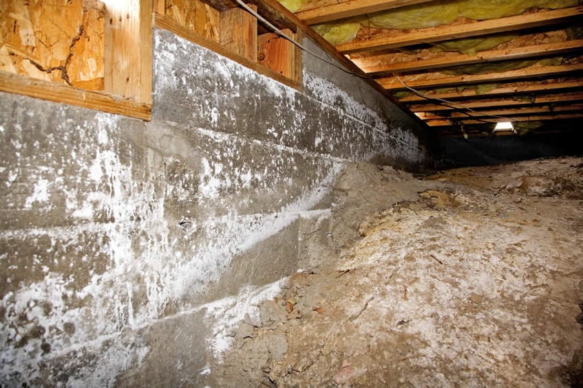 Plamondon Basements and Crawl Spaces